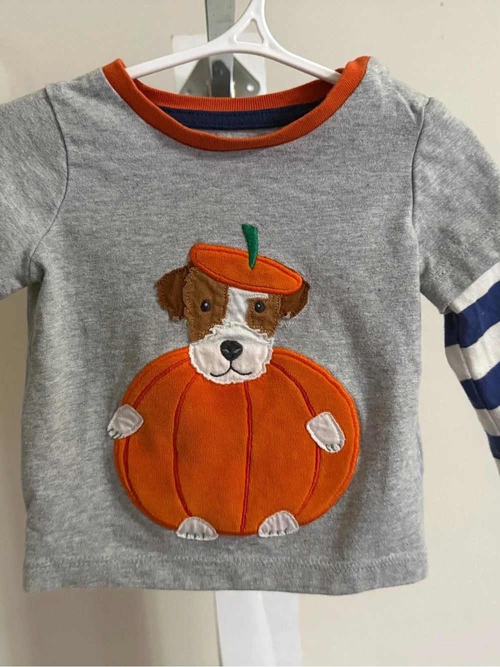 Baby Boden Dog in Pumpkin Appliqué Shirt